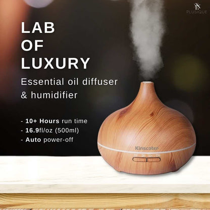 Ultrasonic Aromatherapy Oil Diffuser & Humidifier