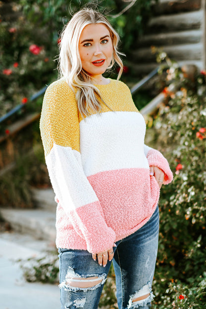 Color Block Round Neck | Sweater
