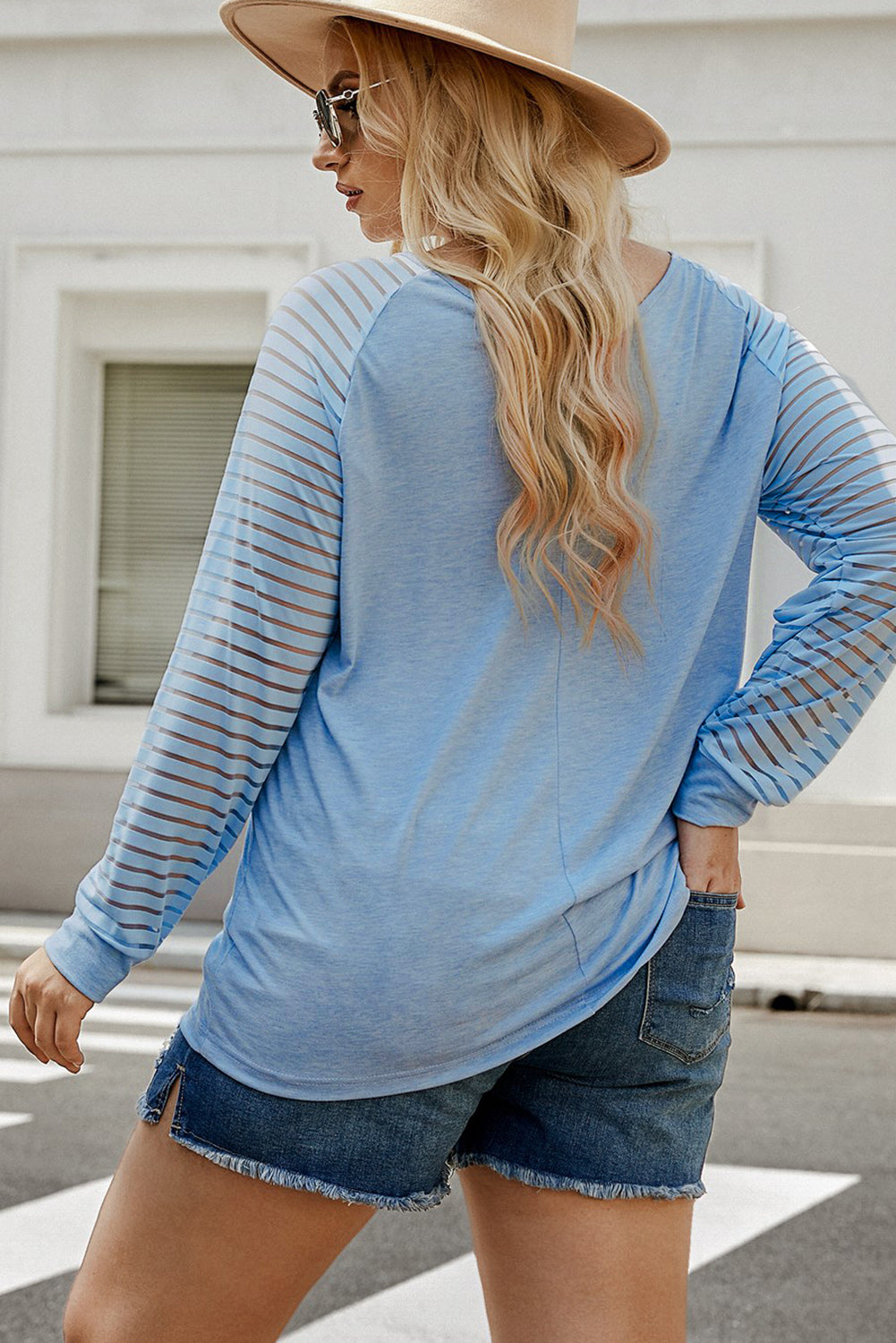 Sheer Striped Sleeve V-Neck | Top